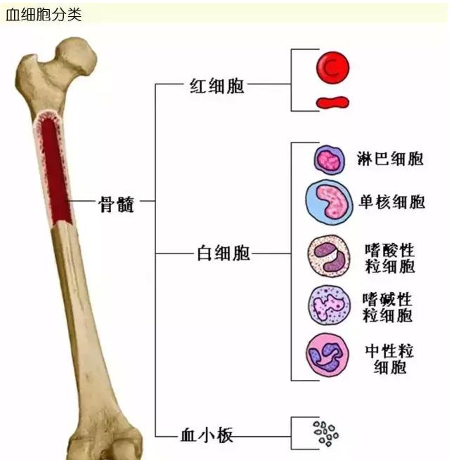 360截图20150602225053755.jpg