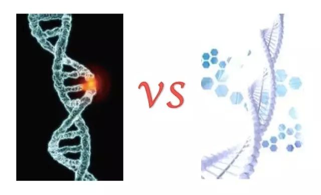 640.webp.jpg 640.webp.jpg