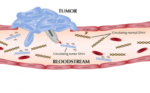 162459r2oj2hjgej5fkqcu.png.thumb.png 162459r2oj2hjgej5fkqcu.png.thumb.png