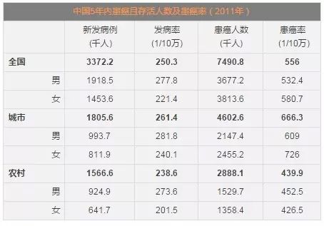 640.webp (19).jpg 640.webp (19).jpg