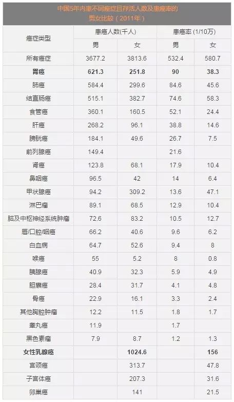 640.webp (21).jpg 640.webp (21).jpg