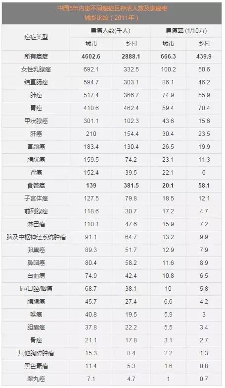 640.webp (22).jpg 640.webp (22).jpg