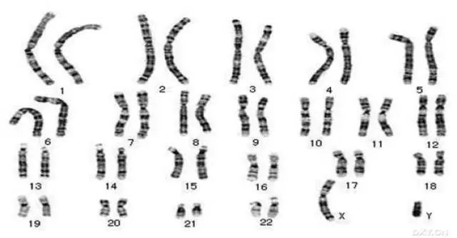 640.webp (31).jpg