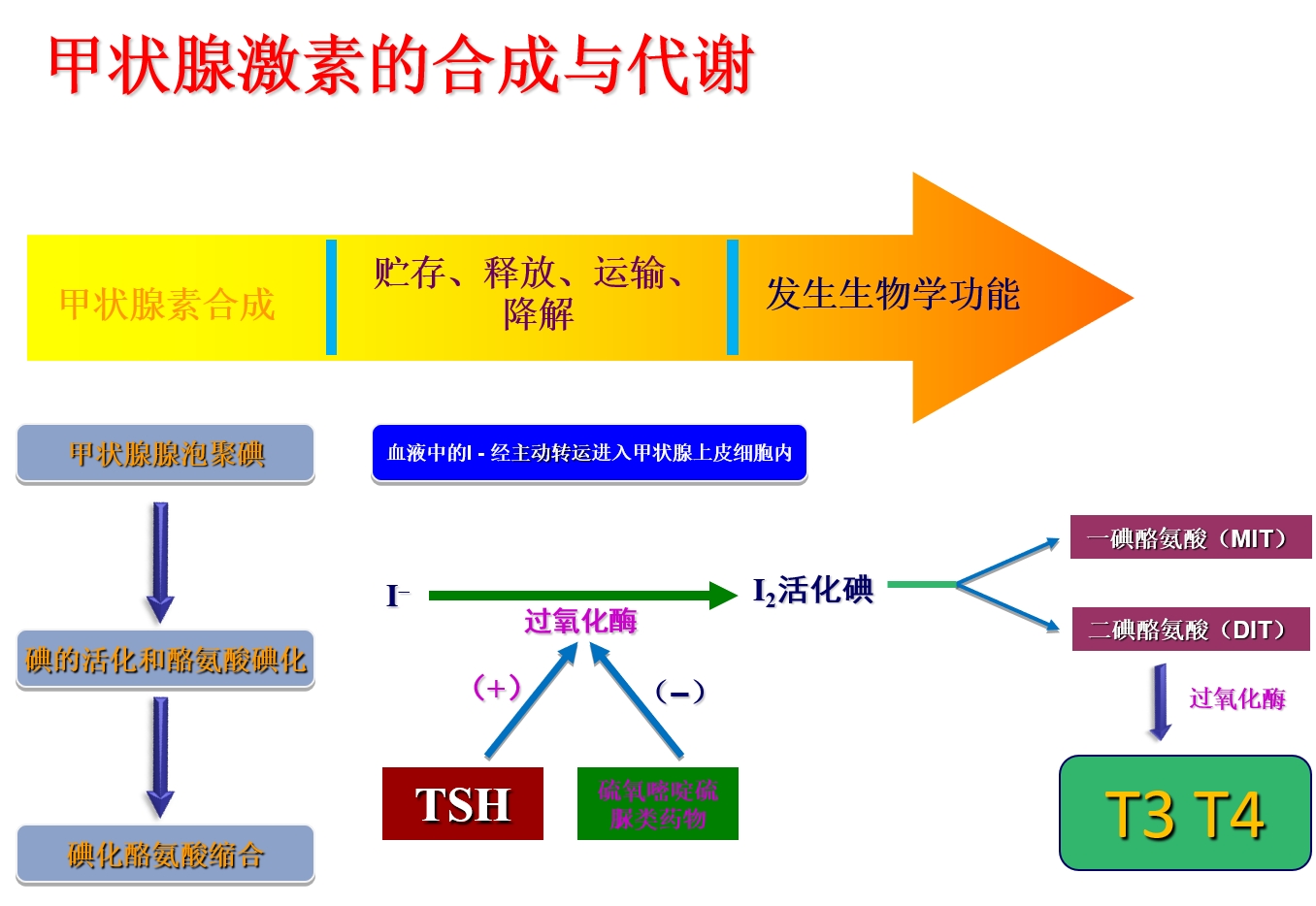 图片3_副本.jpg