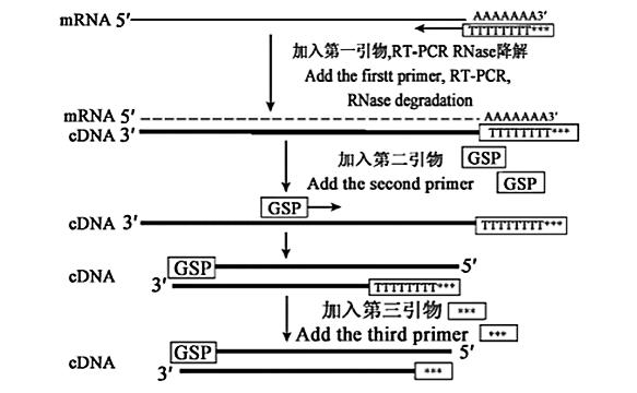 微信图片_20240522091919.png