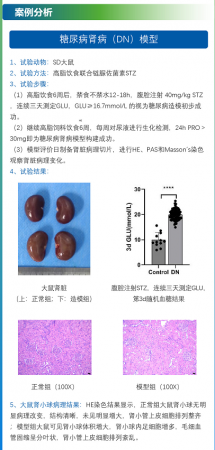 微信图片_20241018153332.png