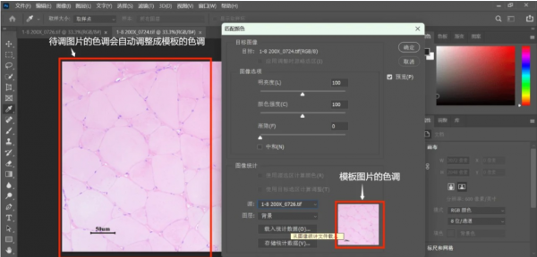 cca8726829cd742421f97c429a9d8d9b.png