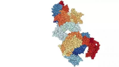 Science：张锋团队今日带来CRISPR重磅新应用，核酸检测灵敏度可达单分子