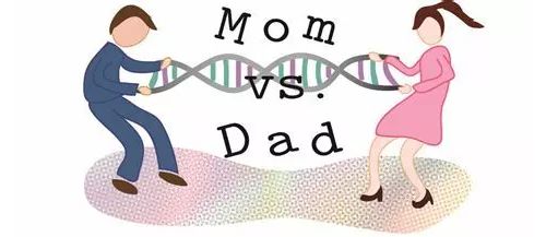 基因测序的新里程碑：你的哪些基因来自爸爸，哪些来自妈妈？