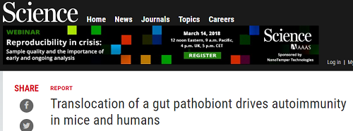 Science：肠道细菌也“作恶”——引发自身免疫疾病