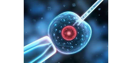试管婴儿胚胎植入将进入规范化和专业化时代--生殖中心的春天将到来