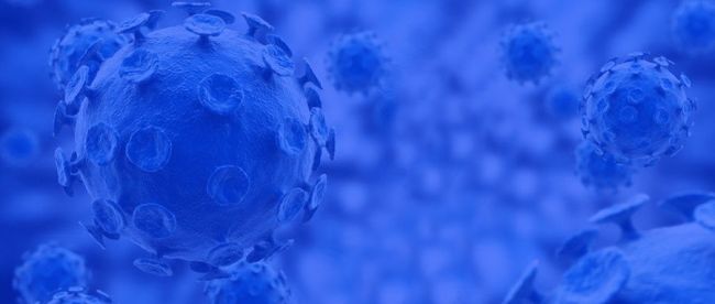 关于新型冠状病毒荧光PCR引物探针设计的一些看法