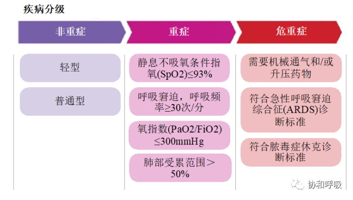 北京协和医院呼吸与危重症医学科新冠肺炎诊疗参考方案（2022年12月版）