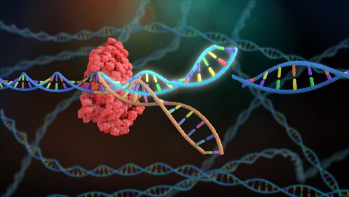 分子诊断必修课，PCR核心Taq酶的前世今生和修饰改造！