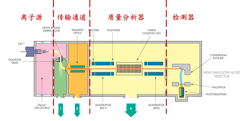 质谱基础三部曲 | 新手必看，质谱仪大拆解！