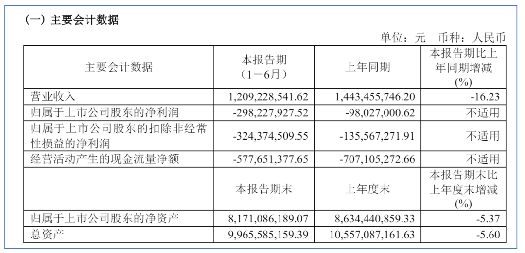 华大智造的2024H1：行业遭逆风，但好消息在路上