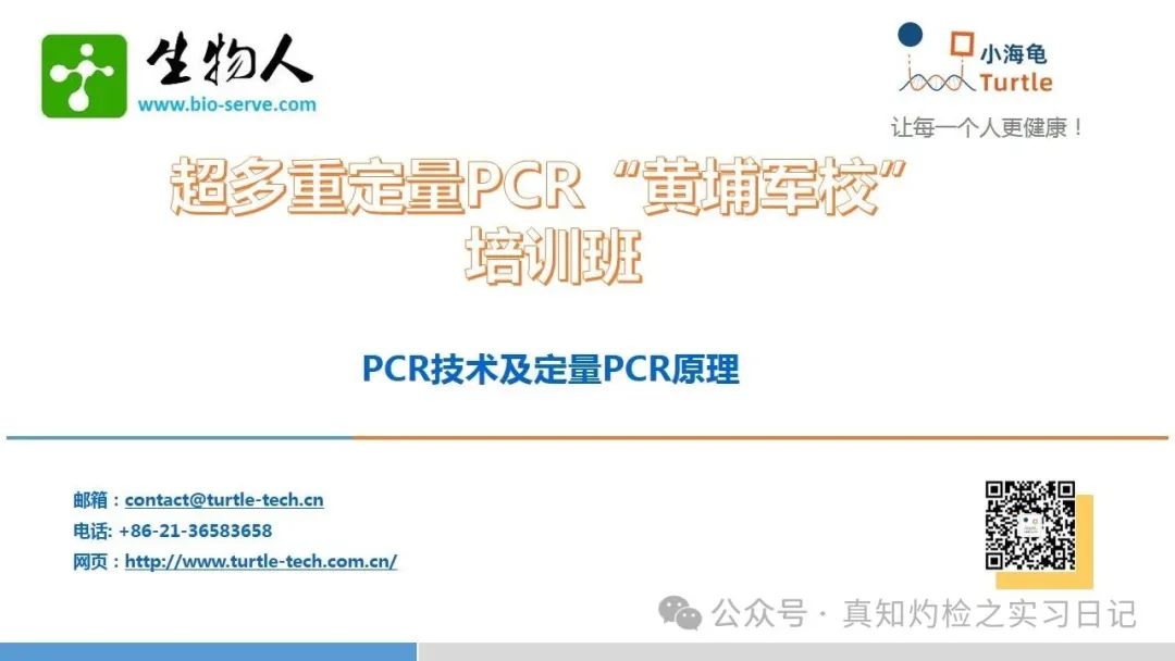 PCR技术及定量PCR原理