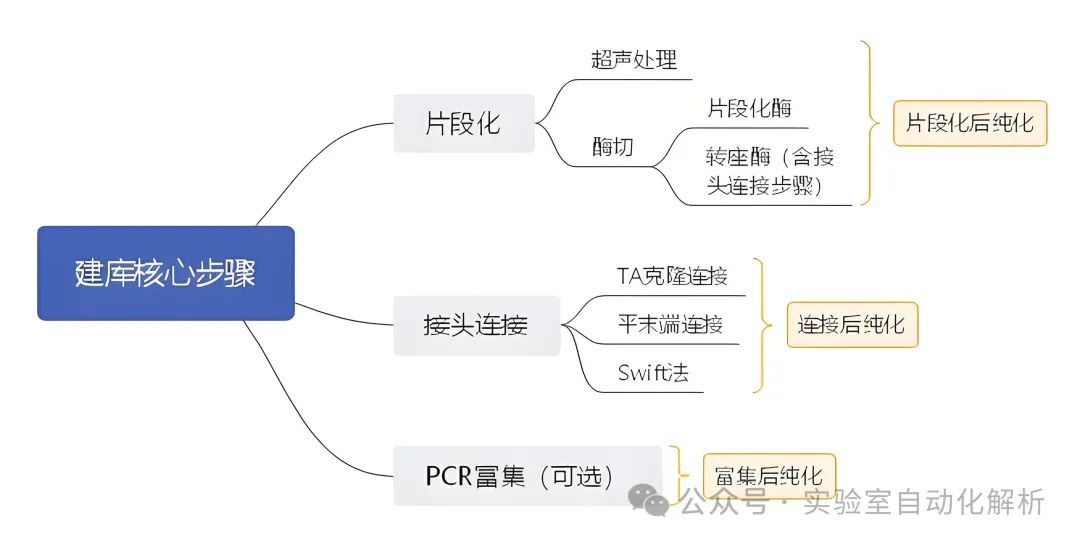 测序应用丨自动建库仪究竟是什么样子？