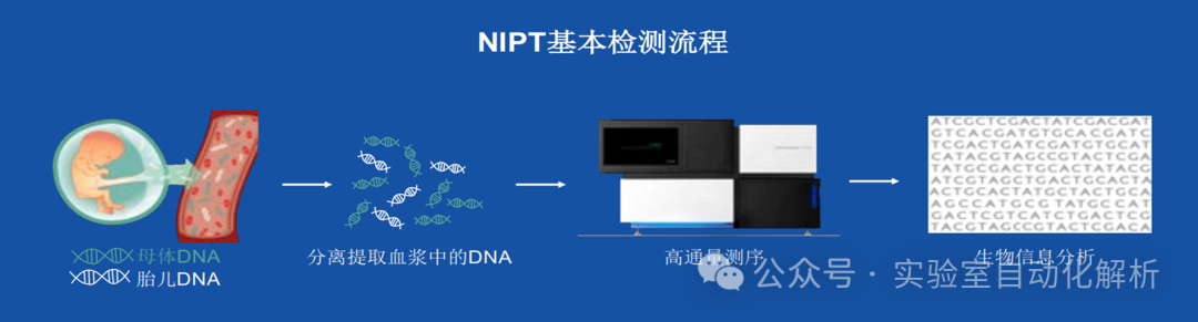 NIPT全流程自动化测序解析