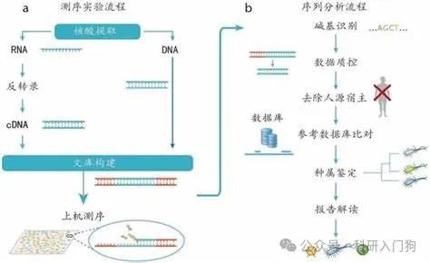 NGS发展的限制